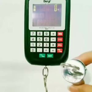 Portable Multi-functional Hanging Scale