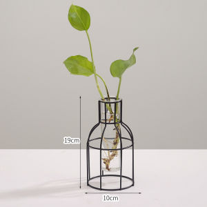 Scandinavian Style Minimalist Geometric Iron & Glass Hydroponic Vase Ornament