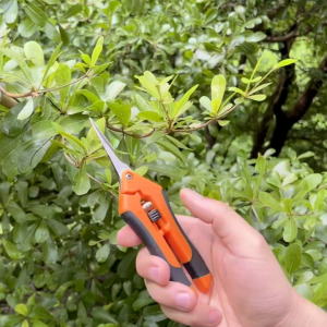 Kéo Cắt Tỉa Cây Cảnh Mũi Thẳng Đa Năng 165mm/6.5 Inch Tiết Kiệm Sức Lao Động Dùng Để Cắt Cành Cây Ăn Quả Tỉa Bon Sai