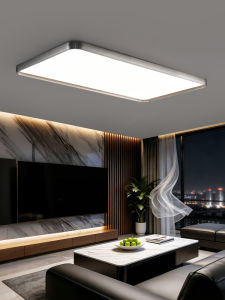 Designers Light | Minimalist Slim Seamless Rectangular Ceiling Light