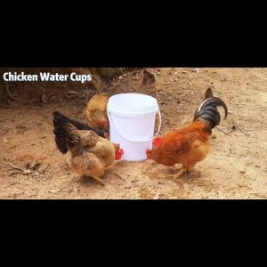 SSG Automatic Poultry Waterer Set 6 PCS 3/8 Inch Thread Adjustable Chicken Drinking Bowls for Chickens Ducks Turkeys