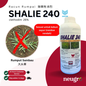 Ancom SHALIE 240 (1L) Clethodim 26% Racun Rumput Sambau Rumput Padi Burung Rumpai (Sama Select 240/Tekad/Kenthodim/Kisol) 大头草除草剂