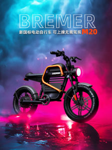 Bremer Electric Bicycle M20 Off-Road Vintage Cross-Ride Motorcycle 3C Certified New National Standard Electric Vehicle