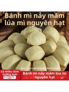 Bánh Bao Hạt Mè Toàn Phần Ăn Sáng Nhanh Đun Lên Là Dùng