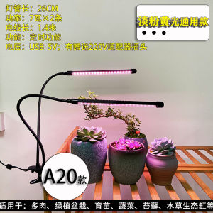 LED Full Spectrum Plant Growth Supplement Light Timing Function USB Clip Metal Hose Succulent Bonsai Greenery