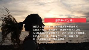 Ginger-Flavored Nutritious Polypeptide Protein Powder for Skin Health - 1KG