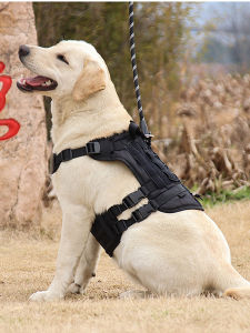 Dog Tactical Chest and Back Medium Large Dog Chest Strap Malinois German Shepherd Labrador Explosion-Proof Vest Hand Holding Rope