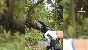 6200W เลื่อยไฟฟ้าแบต เลื่อยยนต์ 6นิ้ว เลื่อยไม่แปรงถ่านไฟฟ้า เครื่องมือการตัดแต่งสวนไร้สายเลื่อยกิ่งสูงสำหรับแบตเตอรี่ Makita 21V เลื่อยไฟฟ้าไร้สาย + ด้ามต่อ การทำงานด้วยมือเดียว Telescoping Pole Electric Chainsaw 2.1M