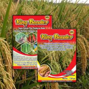 PROMO PUPUK KING BOOSTER KEMASAN 150 GRAM (1pcs)TERLARIS DAN TERMURAH