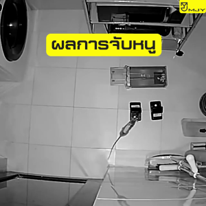 Bẫy chuột BTOOL Bẫy chuột thông minh bẫy chuột nhựa cao cấp phụ kiện dạng gập siêu nhạy lực gập cực mạnh