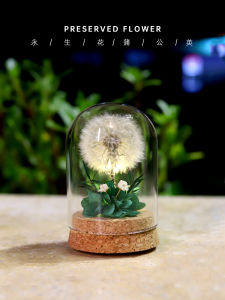 Quà Tặng Ngày Nhà Giáo: Búp Bê Hoa Cỏ Dại Tặng Giáo Viên Mẫu Giáo Quà Tặng Nhỏ Cho Bạn Bè Quà Tặng Lưu Niệm Búp Bê Hoa Cỏ Dại