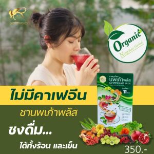 ชานพเก้าพลัส ชาสมุนไพร 11 ชนิด สมุนไพรออร์แกนิกส์