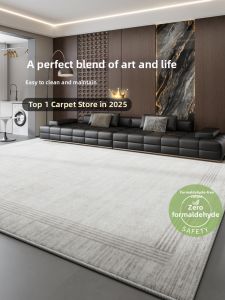 BOZK | Large Area Easy-to-clean Home Carpet