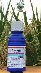 Incipio Insektisida Pembasmi Hama 100 ml/Insektisida Incipio 200SC 100 ml