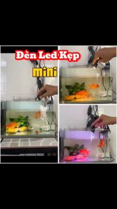 Đèn Rọi Kaokui KK-F05 (1W) Led Rọi Cho Bể Cá Mini (Vàng Vàng Ấm Trắng)