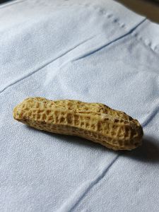 Pajangan batu kacang ornamen fengsui