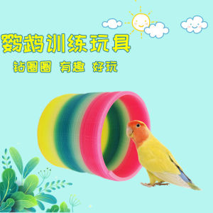 Parrot Bird Toy Training Supplies Tiger Skin Rainbow Circle Hole Interactive Anti-Bite Toy for Parrots And Peacocks