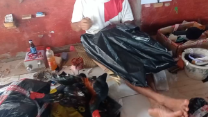 Boneka Ayam Jago Aduan/Latihan Dengan Per