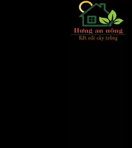 1kg Akadama đất nung Nhật mềm trồng bonsai sen đá xương rồng trang trí hồ thủy sinh 83/255