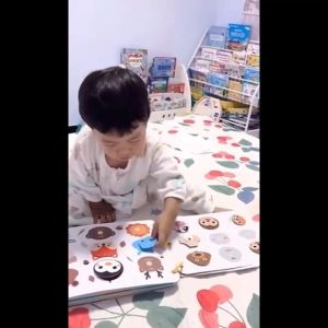 Học liệu bóc dán montessori 15 chủ đề và 30 chủ đề đồ chơi thông minh giáo dục nhận thức sớm cho bé