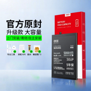 EXIUPAI | Original Battery for Vivo Phones