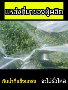 การสั่งผ่านแสง 100% ผ้าใบกันฝน 60ปีไม่เสีย ผ้าใบกันฝน ผ้าใบใส การส่งผ่านแสง 100% ผ้าใบกันแดดฝน ผ้าใบกันแดดกันฝน ผ้าใบ พลาสติกคลุมของ ผ้ายางพลาสติ 60ปีไม่เสีย