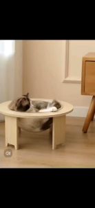 Space Capsule Cat Bed Detachable Wooden Stand Nest Modern Pet Bed Simple Cleaning Pet Supplies Cat Transparent Hammock