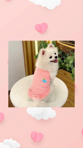 เสื้อสายเดี่ยวสัตว์เลี้ยง หมา แมว สุนัข XS-XL สีน่ารัก Shirt เสื้อผ้าแมวหน้าร้อน