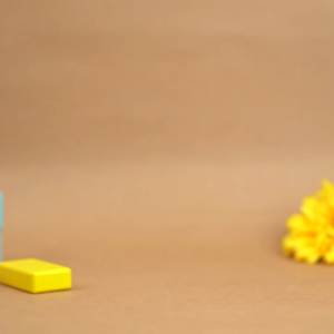 Chinese and English Dictionary for Learning Pin Yin and Making Sentence Language Tool Books 14.5x10.5 X5.5cm 新版新编英语英汉双解词典成语英语词典 同义词近义词反义词大全 组词造句词典谚语歇后语套装 最新版小学生专用全功能新华字典工具书现代汉语