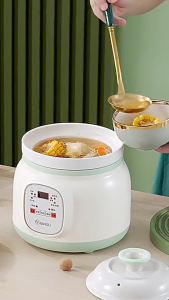 Ceramic electric slow cooker for porridge fully automatic home health soup stewer clay pot for baby food plug-in stew pot