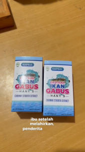 Kapsul Ikan Gabus |Hanys Ikan Gabus | 60 Kapsul Serbuk Original | Mempercepat Penyembuhan Luka