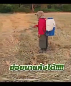 10 ดาว ไบโอ รับประกันของแท้ (10 DAO BIO) 1 ซอง สูตรเข้มข้น หัวเชื้อจุลินทรีย์ สายพันธุ์ใหม่