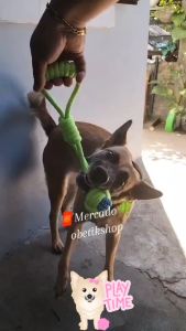 Pet Toy Ball Dog with Rope Training Toys Bite-Resistant Bite-Resistant Teether Ball Interactive (sold per pc.)