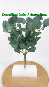 Artificial Money Plant x9 Branches (50cm) / Daun Silver Dollar / Apple Leaf Eucalyptus Leaves / Daun Hiasan / Home Decoration & Wedding Pelamin / 仿真金钱叶苹果叶尤加利叶