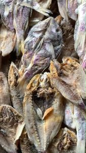 Ikan Asin Biji Nangka, Ikan Kering Kuniran, dan Ikan Laut Kering