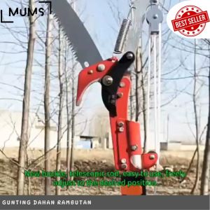 AN22 Gunting Dahan Tarik + Gergaji Pisau Dengan Tali +/- 23 Meter Multifungsi 2 in 1 Gergaji Graji Galah Tongkat Potong Dahan Ranting Pohon Rambutan Kopi Cengkeh Alat Kebun Gunting Dahan Pemotong Serbaguna Anti Karat Tree Pruners Saw 2in1