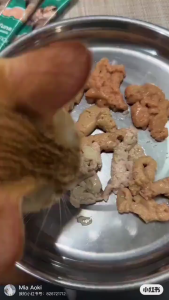 60Pcs Cat Treats For Cat Food Cat Strip Fresh Wet Food Pack Liquid Nutrition Kitten Snack Food