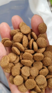10kg NutriChunks Alpha Pro Dogs Dry Food Regular Bites Small Bites All Stages Adult Puppy Pet Food