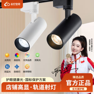 LED Track Light Clothing Store Spotlight Commercial Super Bright Energy-Saving Cob Spotlight Track Lamp Home Decoration Background Wall Ceiling Lamp
