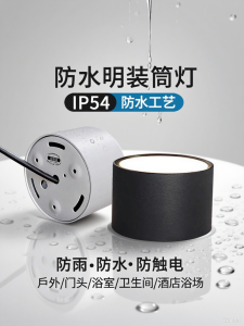 Outdoor Waterproof Downlight Ceiling Mounted Lamp for Porch Entrance Hallway Bathroom Aluminum Material LED Light Source