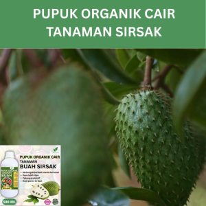 Pupuk Buah Sirsak 500 ML /Pupuk Booster Sirsak Cepat Berbuah Lebat/Pupuk Cair Sirsak