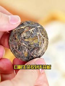 YUNHE TEA | Yunnan Ancient Tree Purple Bud Raw Pu-erh Tea Small Cake