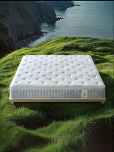 Natural Latex Spring Mattress