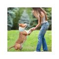 Adjustable Leather Pet Dog collar Neck Strap Supplies PU Leather Punk Rivet Spiked Dog Collar Pet Collars For Small Dog Cat. 