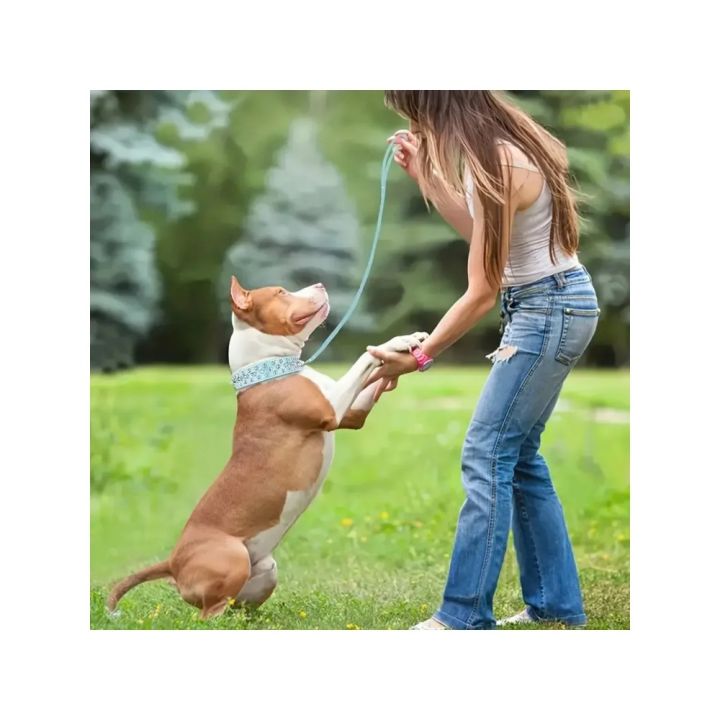 Adjustable%20Leather%20Pet%20Dog%20collar%20Neck%20Strap%20Supplies%20PU%20Leather%20Punk%20Rivet%20Spiked%20Dog%20Collar%20Pet%20Collars%20For%20Small%20Dog%20Cat%20-%20Image%207