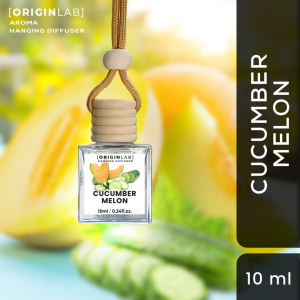OriginLab - CUCUMBER MELON - Aroma Hanging Diffuser - Car Freshener - Odor Eliminator - Car Perfume Diffuser - Room Scents