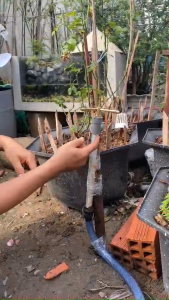 Béc phun sương đồng thau xoay 360 độ cho mái tôn tưới cây mùa nóng