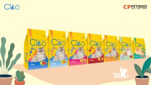 Cleo Kitten Ocean Fish 12kg Makanan Anak Kucing Cat Food Premium
