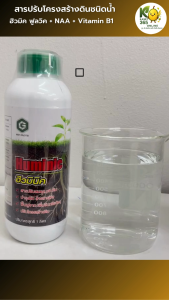 เจนวาย ฮิวมินิค 1L. เข้มข้น ฮิวมิค ฟูลวิค + NAA + Vitamin B1 รูปแบบละลายน้ำข้น ปรับสมดุล pH ดิน บำรุงดิน ล้างสารพิษ ฟื้นฟูราก เพิ่มอินทรีย์วัตถุ ปรับโครงสร้างดิน