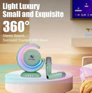 YS-110 Portable Wireless Karaoke Dynamic Light Show Bluetooth Professional Hi-Fi Speaker with Dual Microphone